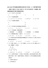 2022-2023学年湖南省邵阳市武冈市八年级（上）期中数学试卷