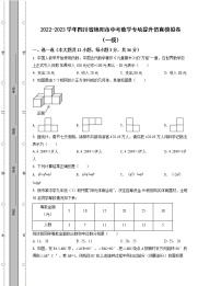 2022-2023学年四川省绵阳市中考数学专项提升仿真模拟卷（一模二模）含解析