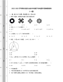 2022-2023学年四川省乐山市中考数学专项提升仿真模拟卷（一模二模）含解析