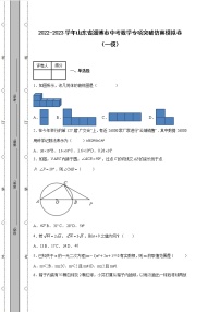 2022-2023学年山东省淄博市中考数学专项突破仿真模拟卷（一模二模）含解析