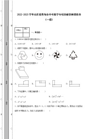 2022-2023学年山东省青岛市中考数学专项突破仿真模拟卷（一模二模）含解析