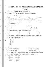 【中考数学】2022-2023学年上海市黄浦区专项突破仿真模拟卷（一模二模）含解析