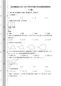 山东省临沂市2022-2023学年中考数学专项突破仿真模拟卷（一模二模）含解析