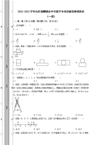 2022-2023学年山东省聊城市中考数学专项突破仿真模拟卷（一模二模）含解析