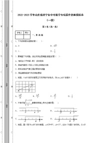 2022-2023学年山东省济宁市中考数学专项提升仿真模拟卷（一模二模）含解析