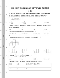 2022-2023学年山东省菏泽市中考数学专项提升仿真模拟卷（一模二模）含解析