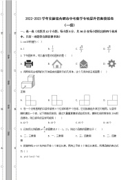 2022-2023学年安徽省合肥市中考数学专项提升仿真模拟卷（一模二模）含解析