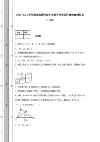 2022-2023学年湖北省黄冈市中考数学专项提升破仿真模拟卷（一模二模）含解析