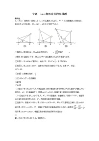 2023年广西中考数学复习专项专练 之 与三角形有关的压轴题(含答案)