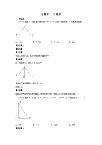 2023年广西中考数学复习专项专练专题12 三角形(含答案)