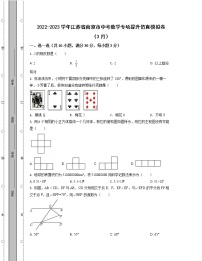 2022-2023学年江苏省南京市中考数学专项提升仿真模拟卷（3月4月）含解析