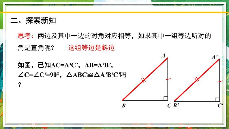 北师大版数学八年级下册 1.2.2直角三角形（第2课时） 课件第3页