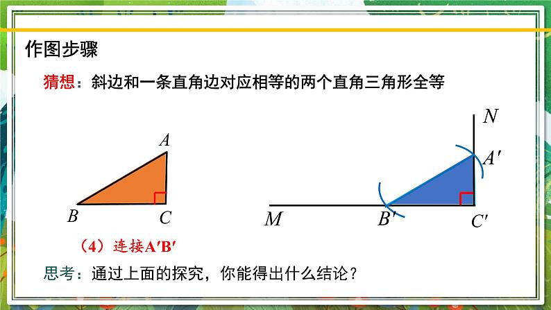 北师大版数学八年级下册 1.2.2直角三角形（第2课时） 课件第8页