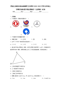 黑龙江省哈尔滨市南岗区工大附中2022-2023学年九年级上学期学生阶段学情反馈数学（五四制）试卷