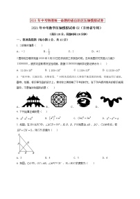 初中数学中考复习 2021年中考数学压轴模拟试卷02 （吉林省专用）（原卷版）