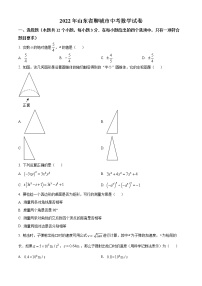 初中数学中考复习 2022年山东省聊城市中考数学真题