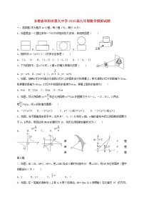 初中数学中考复习 安徽省阜阳市第九中学2019届中考数学模拟试题