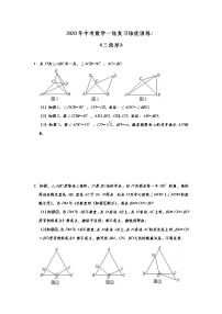 初中数学中考复习 2020年中考数学一轮复习培优训练：《三角形》