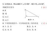 初中数学中考复习 2020届中考数学复习课件：第四章《三角形》综合测试卷