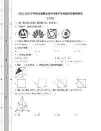 2022-2023学年河北省邢台市中考数学专项提升仿真模拟卷（4月5月）含解析