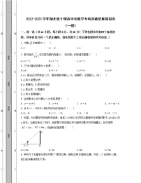 2022-2023学年湖北省十堰市中考数学专项突破仿真模拟卷（一模二模）含解析