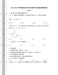 2022-2023学年河南省安阳市中考数学专项突破仿真模拟卷（4月5月）含解析