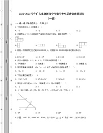 2022-2023学年广东省惠州市中考数学专项提升仿真模拟卷（一模二模）含解析