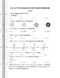 2022-2023学年山东省菏泽市中考数学专项提升仿真模拟试题（3月4月）含解析