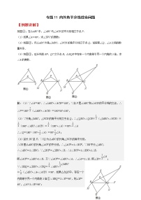 七年级数学下册考点精练专题11 内外角平分线综合问题