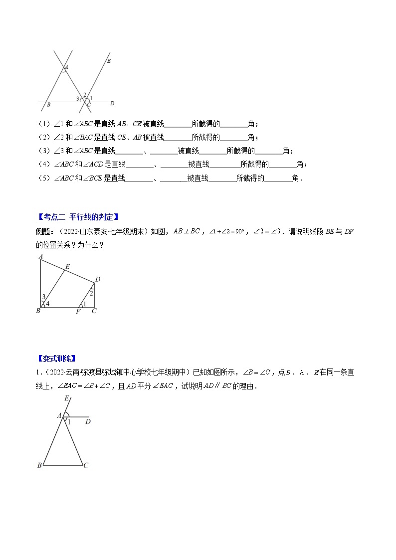 七下数学专题 平行线的判定与性质（考点突破）02