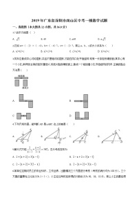 初中数学中考复习 精品解析：2019年广东省深圳市南山区中考一模数学试题（原卷版）