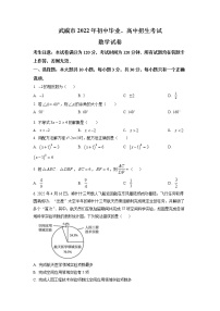 初中数学中考复习 精品解析：2022年甘肃省武威中考数学真题（原卷版）