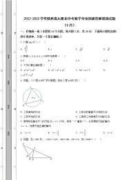 2022-2023学年陕西省太原市中考数学专项突破仿真模拟试题（3月4月）含解析