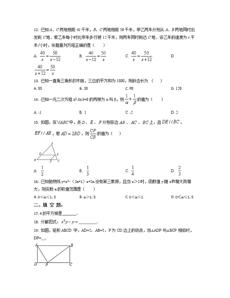 2022-2023学年河北省石家庄市中考数学专项突破仿真模拟试题（一模二模）含解析第3页