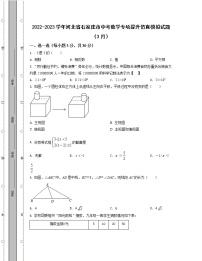 2022-2023学年河北省石家庄市中考数学专项提升仿真模拟试题（3月4月）含解析