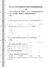 2022-2023学年河北省沧州市中考数学专项突破仿真模拟试题（一模二模）含解析