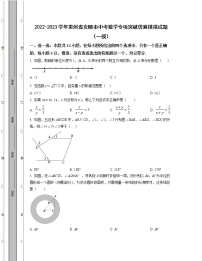 2022-2023学年贵州省安顺市中考数学专项突破仿真模拟试题（一模二模）含解析