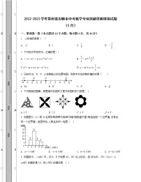 2022-2023学年贵州省安顺市中考数学专项突破仿真模拟试题（3月4月）含解析