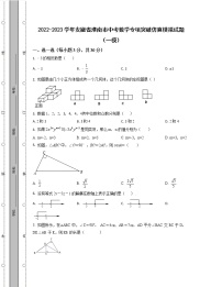 2022-2023学年安徽省淮南市中考数学专项突破仿真模拟试题（一模二模）含解析