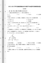 2022-2023学年安徽省淮南市中考数学专项提升仿真模拟试题（3月4月）含解析