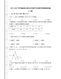 2022-2023学年海南省文昌市中考数学专项提升仿真模拟试题（一模二模）含解析