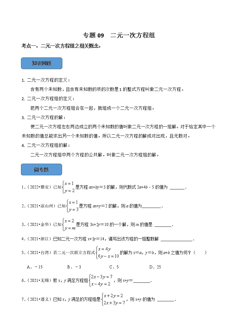 专题09 —二元一次方程组篇-备战2023年中考数学必考考点总结+题型专训（全国通用）01