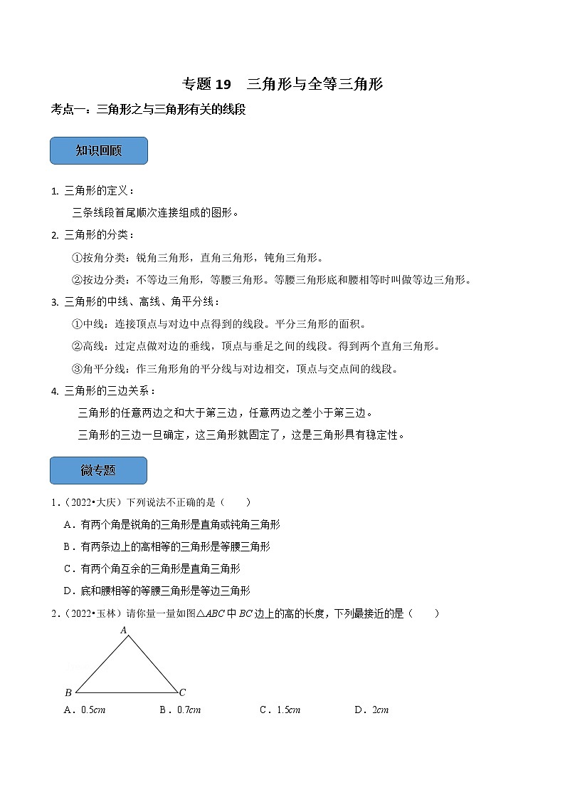 专题19 三角形与全等三角形篇-备战2023年中考数学必考考点总结+题型专训（全国通用）01