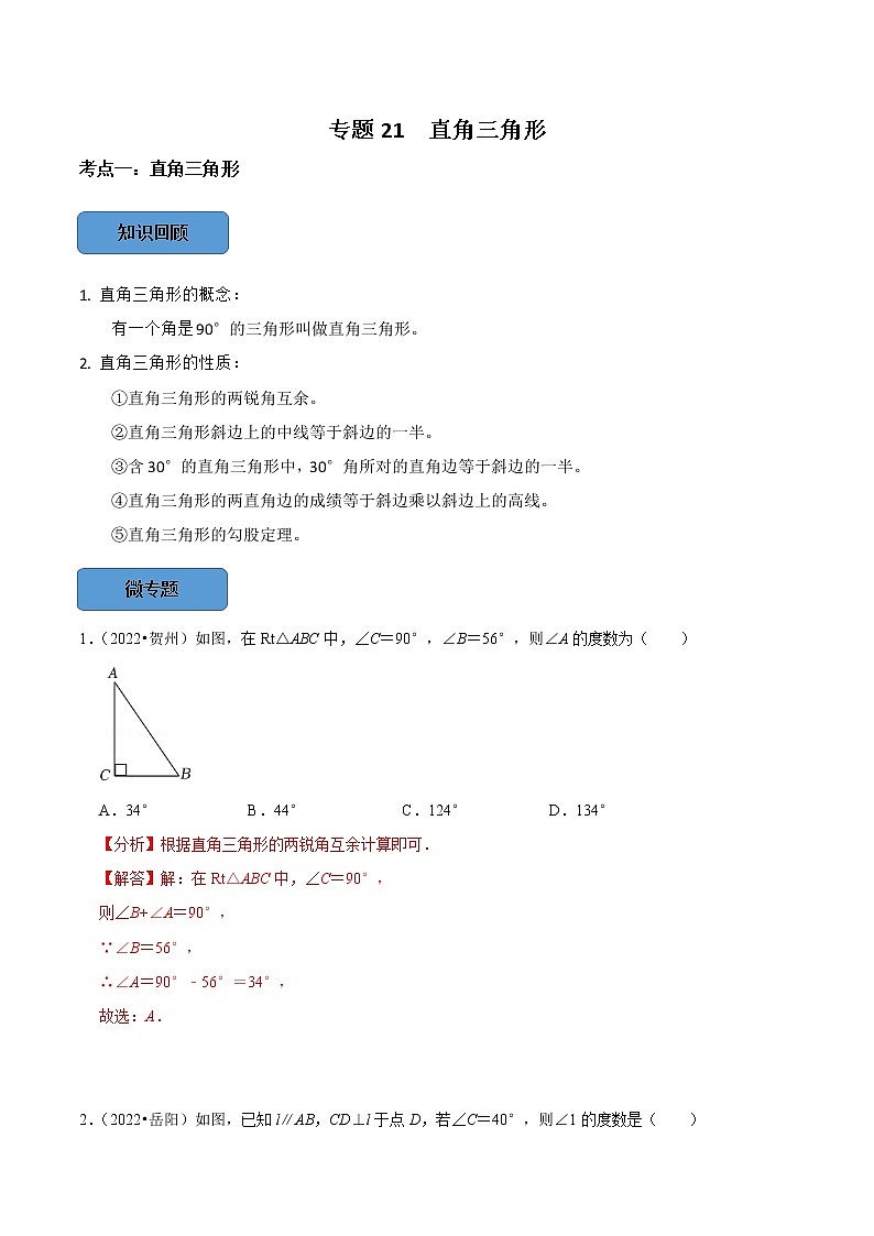 专题21 直角三角形篇-备战2023年中考数学必考考点总结+题型专训（全国通用）01