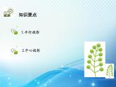 25.1 第1课时 平行投影与中心投影 沪科版数学九年级下册教学课件