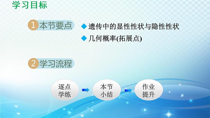 26.4 综合与实践-概率在遗传学中的应用 沪科版数学九下导学课件02