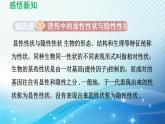 26.4 综合与实践-概率在遗传学中的应用 沪科版数学九下导学课件