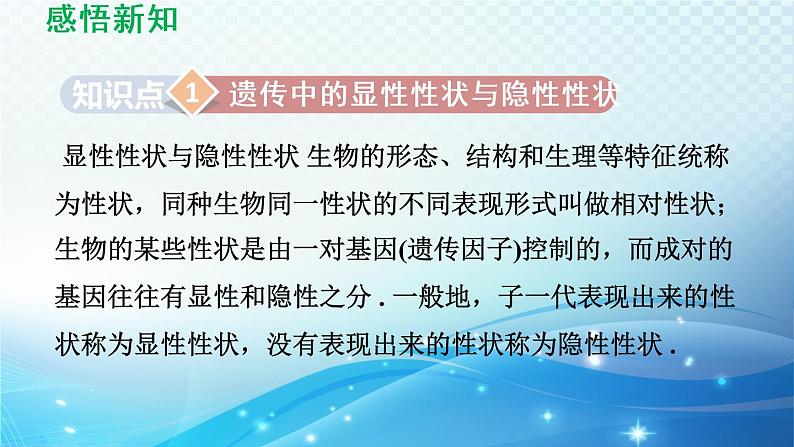 26.4 综合与实践-概率在遗传学中的应用 沪科版数学九下导学课件03