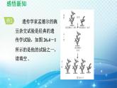 26.4 综合与实践-概率在遗传学中的应用 沪科版数学九下导学课件
