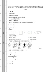 2022-2023学年广东省珠海市中考数学专项提升仿真模拟试题（3月4月）含解析